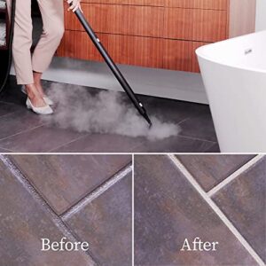 Dupray Neat Steam Cleaner Powerful Multipurpose Portable Steamer for Floors, Cars, Tiles Grout Cleaning Chemical Free Disinfection Kills 99.99%* of Bacteria and Viruses