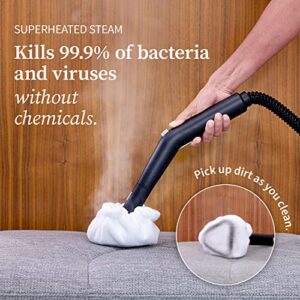 Dupray Neat Steam Cleaner Powerful Multipurpose Portable Steamer for Floors, Cars, Tiles Grout Cleaning Chemical Free Disinfection Kills 99.99%* of Bacteria and Viruses