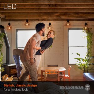 SYLVANIA A19 LED Vintage Light Bulb, 40W Equivalent Efficient 4.5W, 13 Year, 380 Lumens, Dimmable, Amber Glow - 1 Pack (75347)