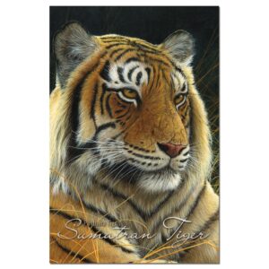 tree-free greetings econotes stationary- blank note cards with envelopes, 4" x 6", sumatran tiger, boxed set of 12 (fs66733)