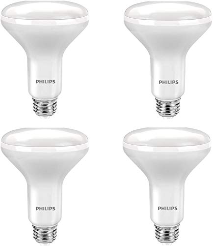 Philips LED Dimmable BR30 Light Bulb: 650-Lumen, 5000-Kelvin, 11-Watt (65-Watt Equivalent), E26 Base, Frosted, Daylight, 4-Pack