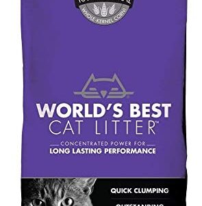 World's Best Cat Litter Cat Lavender Scented Multiple Cat Clumping Formula, 7-Pound Bag