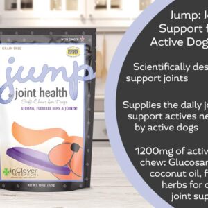 In Clover Jump Soft Chews for Daily Joint Care and Endurance Support for Dogs