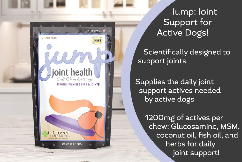 In Clover Jump Soft Chews for Daily Joint Care and Endurance Support for Dogs