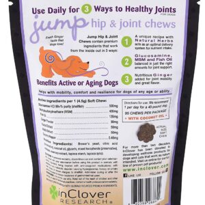 In Clover Jump Soft Chews for Daily Joint Care and Endurance Support for Dogs