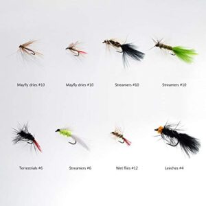 BASSDASH Fly Fishing Flies Kit Fly Assortment Trout Bass Fishing with Fly Box, 36/64/72/76/80/96pcs with Dry/Wet Flies, Nymphs, Streamers, Popper