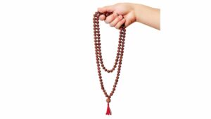 himalayan organic five face rudraksha necklace mala. standard size 108 beads grown up in himalaya of nepal without chemical, wax and color treatment