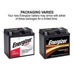 Energizer T16 AGM Motorcycle and Personal Water Craft 12V Battery, 260 Cold Cranking Amps and 19 Ahr. Replaces: T16 and others, Black