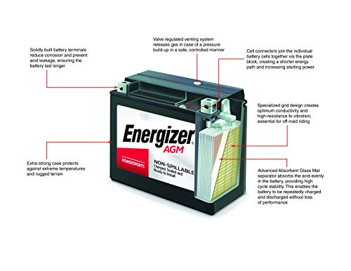 Energizer T16 AGM Motorcycle and Personal Water Craft 12V Battery, 260 Cold Cranking Amps and 19 Ahr. Replaces: T16 and others, Black