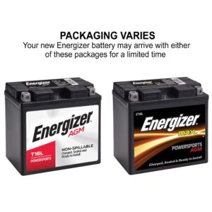 Energizer - ET16L T16L AGM Motorcycle and ATV 12V Battery, 260 Cold Cranking Amps and 19 Ahr. Replaces: CTX19L-BS, T16L and others