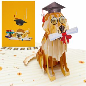 liif 2024 graduation dog 3d pop up graduation card, class of 2024, for college, high school, son, daughter, phd, master