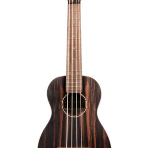 Kala UBASS-EBY-FSRW Striped Ebony Acoustic-Electric Ukulele Bass with Round Wounds