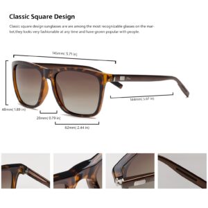 Htms Square Aluminum Magnesium Frame Polarized Sunglasses Vintage Spring Temple Sun Glasses Men Women Retro Driving Eyewear UV400 (Brown Lens/Leopard Frame)