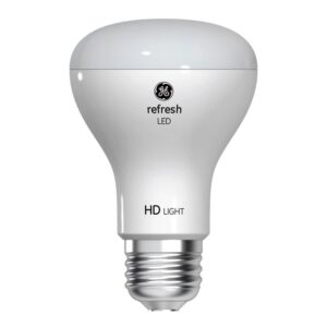 GE Refresh LED Light Bulb, 45 Watt, Daylight, R20 Floodlight (1 Pack)