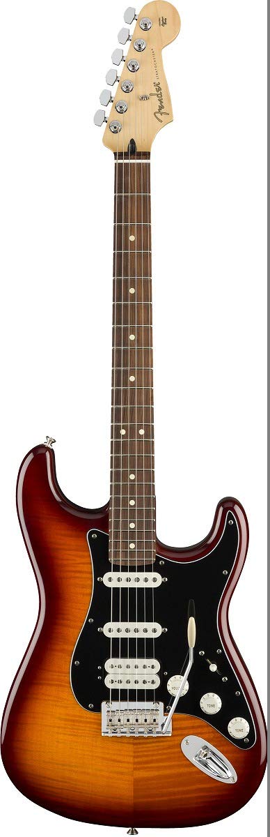 Fender Player Plus Top Stratocaster Electric Guitar, Tobacco Burst, Pau Ferro Fingerboard