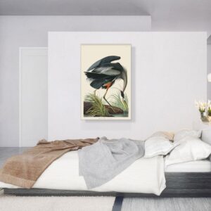 ARTCANVAS Great Blue Heron Canvas Art Print Stretched Framed Painting Picture Poster Giclee Wall Decor by John James Audubon - 40" x 26" (0.75" Deep)