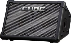 roland cube street ex 4-channel 50-watt battery-powered amplifier bundle with roland cb-cs2 carrying case, microphone, instrument cable, batteries, and austin bazaar polishing cloth