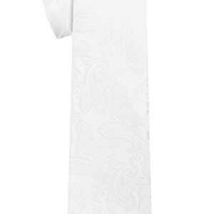 KissTies Mens Necktie Paisley Tie + Gift Box