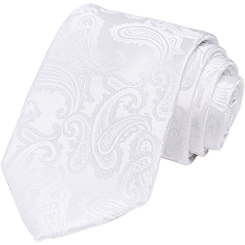 KissTies Mens Necktie Paisley Tie + Gift Box