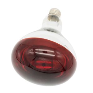 Fengrun Infrared Heat Lamp Bulb Red Light Therapy 250 Watt Dark Red Hard Explosion-Proof Glass for Chicken, Farm, Pets, Warming Bulbs Bathroom Winter(120V,250W)