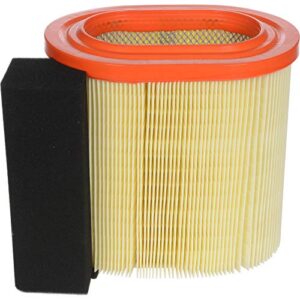 FRAM Extra Guard Engine Air Filter Replacement, Easy Install w/Advanced Engine Protection and Optimal Performance, CA12182 for Select Ford Vehicles