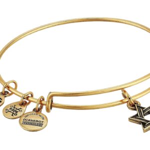 Alex and Ani Women's Star of David IV Bangle Bracelet, Rafaelian Gold, Expandable