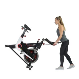 EFITMENT Indoor Cycle Bike, Magnetic Cycling Trainer Exercise with Belt Drive, LCD Monitor and Pulse Monitor (44 LB Flywheel)