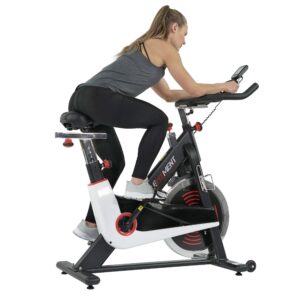 EFITMENT Indoor Cycle Bike, Magnetic Cycling Trainer Exercise with Belt Drive, LCD Monitor and Pulse Monitor (44 LB Flywheel)