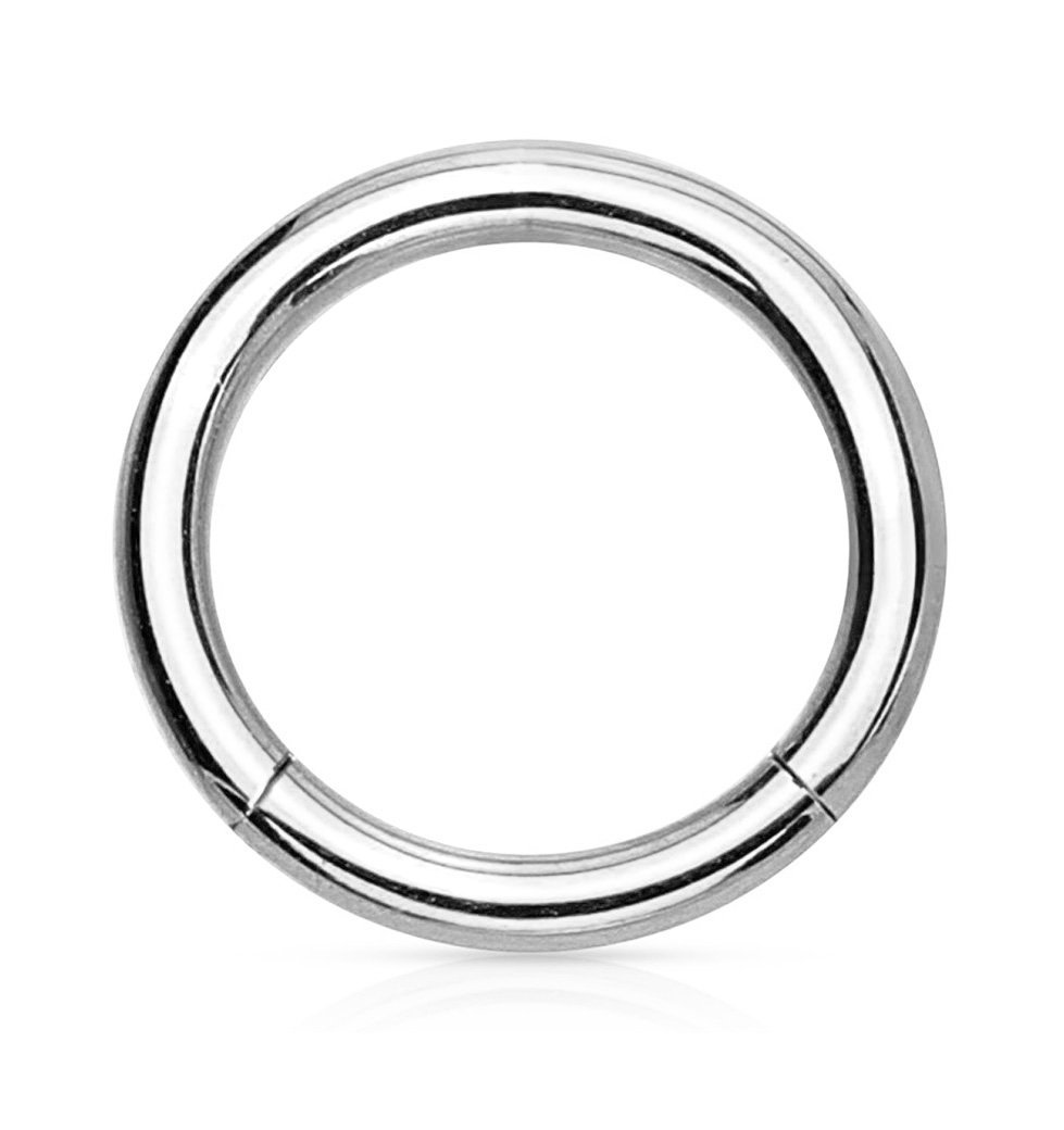 Forbidden Body Jewelry 14g 10mm Surgical Steel Seamless Segment Body Piercing Hoop