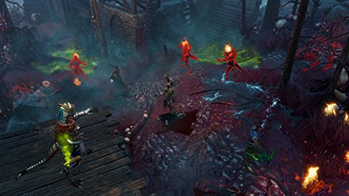 Divinity: Original Sin 2 - PlayStation 4 Definitive Edition