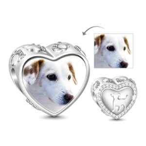 gnoce custom photo charms bead for dog personalized photo animals charm 925 sterling silver pendant for bracelets (pet)