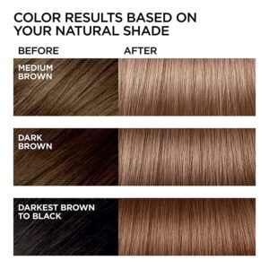 L'Oreal Paris Feria Multi-Faceted Shimmering Permanent Hair Color, B61 Downtown Brown, Hair Dye Kit, Pack of 2