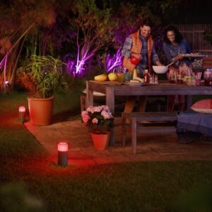 Philips Hue Calla White and Color Ambiance Outdoor Pathway Light Base Kit (1 Light, Power Supply and Mounting Kit), Works with Amazon Alexa, Apple Homekit and Google Assistant, Hue Bridge Required