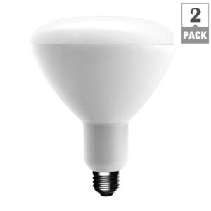 EcoSmart 90-Watt Equivalent BR40 Dimmable LED Light Bulb, Soft White (2-Pack