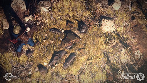 Fallout 76: Wastelanders - PC