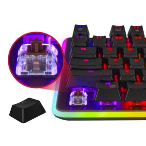 Rosewill Mechanical Gaming Keyboard, RGB LED Glow Backlit Computer Mechanical Switch Keyboard for PC, Laptop, Mac, Software Customizable - Professional Gaming Brown Mechanical Switch