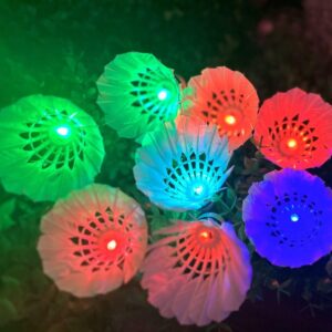 Inngree LED Badminton, [10 Pack] Colourful Shuttlecock Dark Night Goose Feather Glow Birdies Lighting Outdoor Indoor Sport Activities(10PCS)