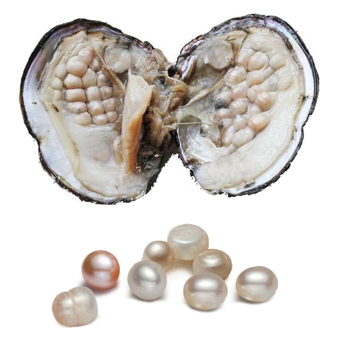 Oyster with Pearl Inside, Freshwater Cultured Oval Pearl Beads (5-7mm about 18pcs Pearls) Gifts