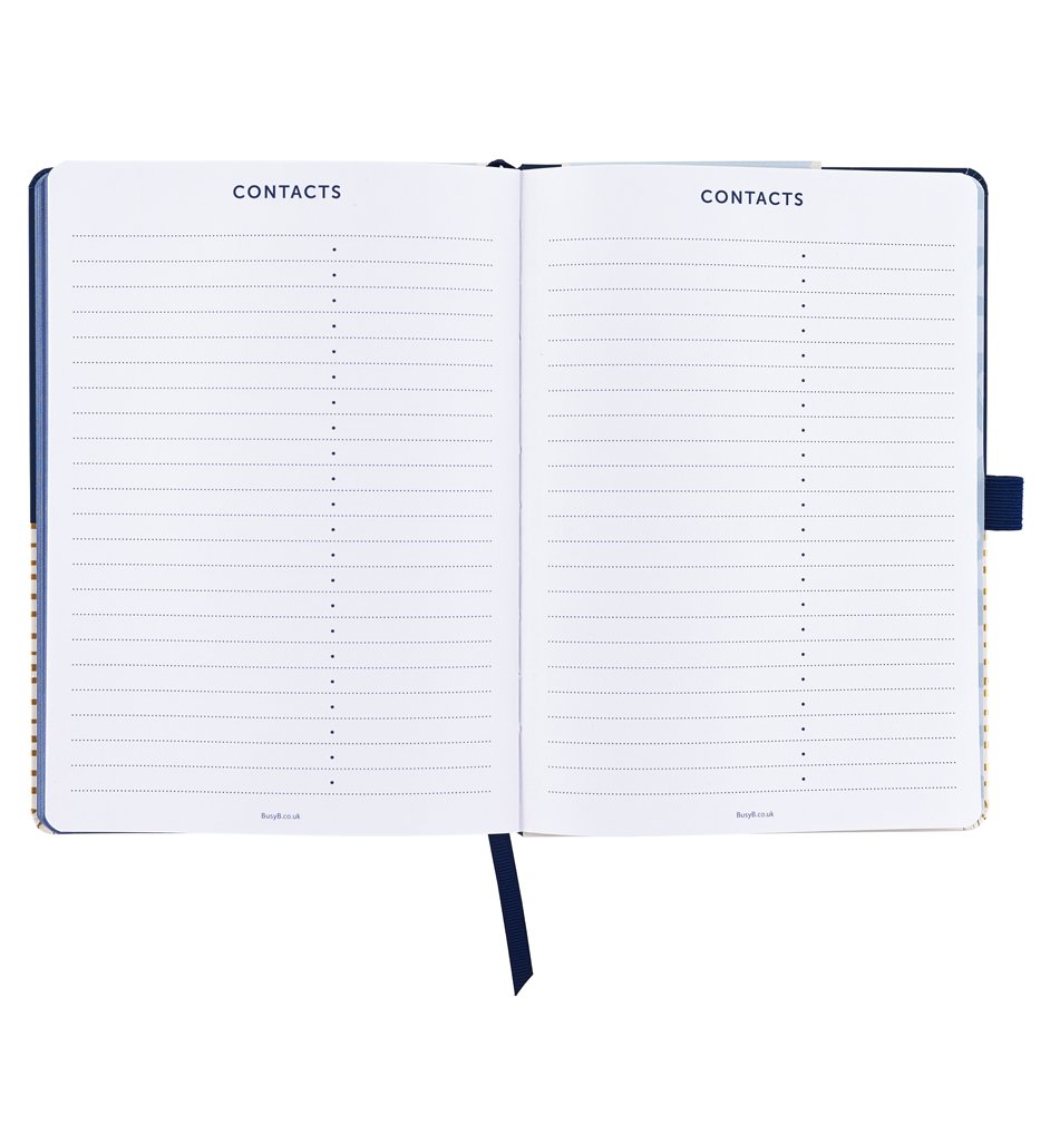 Busy B A5 2019 Stripe Design Busy Life Week to View Diary with Pockets and Dual Schedules