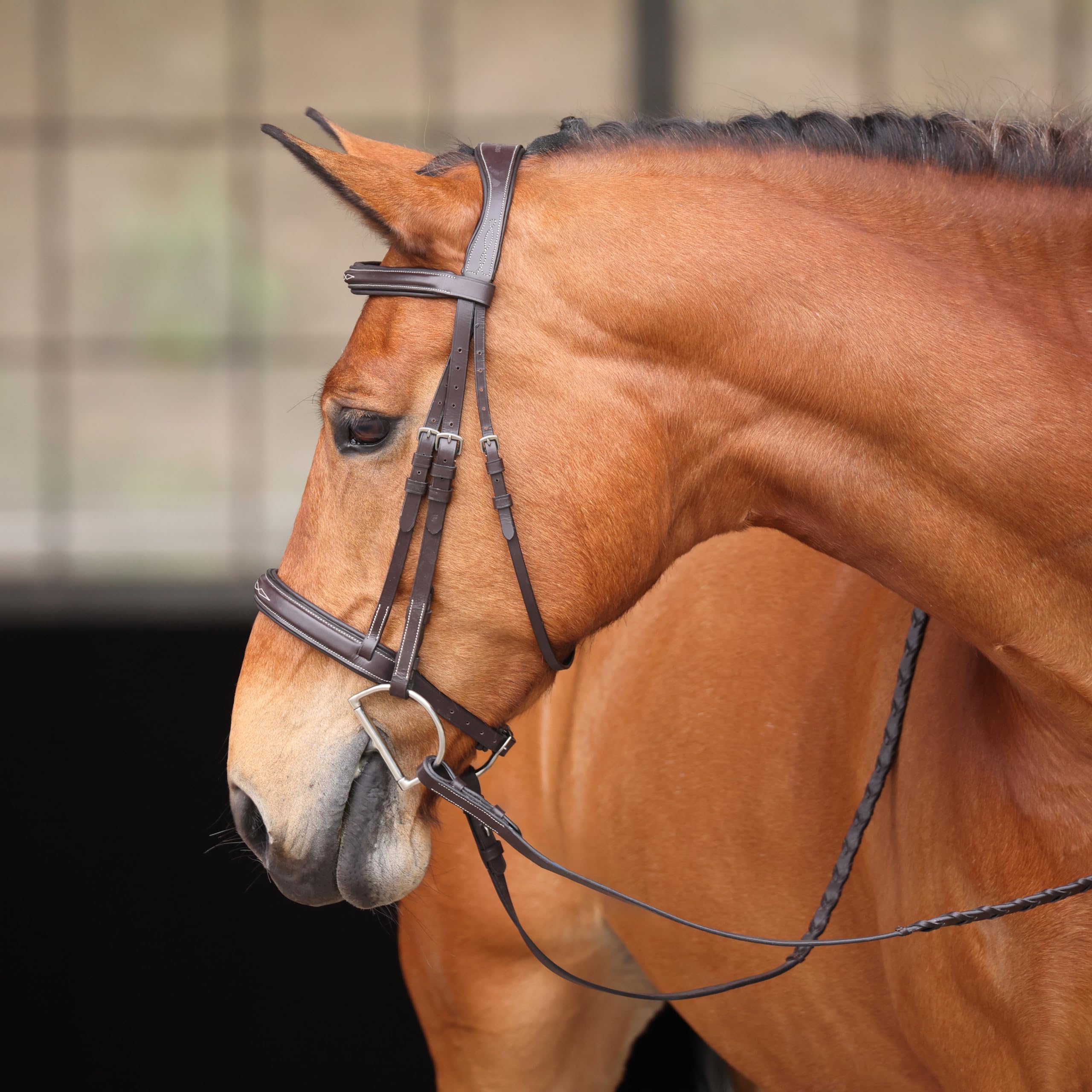 Shires Avignon Wellington Bridle (Horse)