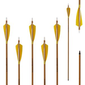 Letszhu Archery Carbon Arrows 500 Spine with Helical Real Feathers and Removable Tips for Compound Recurve Bow (6 Pack)