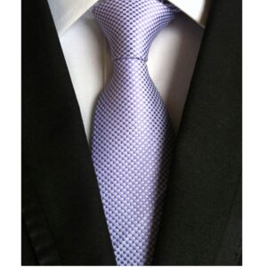 Ctskyte Men's Summer Pattern Ties in French Lavender Business Wedding Party Suit Necktie