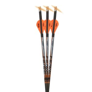 Ravin R134 Match Weight Lighted .001-Carbon Crossbow Arrows For Use Exclusively With Ravin Crossbows