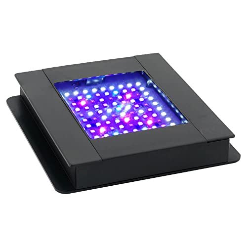 Fluval SEA Marine Nano LED Aquarium Lighting with Bluetooth, 20 Watts,Glass