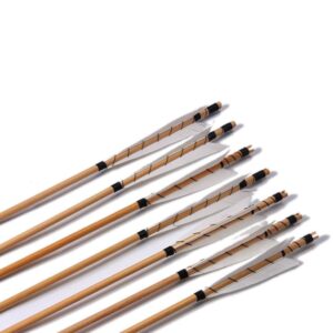 PG1ARCHERY Archery Hunting Arrows, 12 Pack Traditional Target Wooden Arrow 5" Turkey Feathers Fletching with Vintage Broadheads Tips White