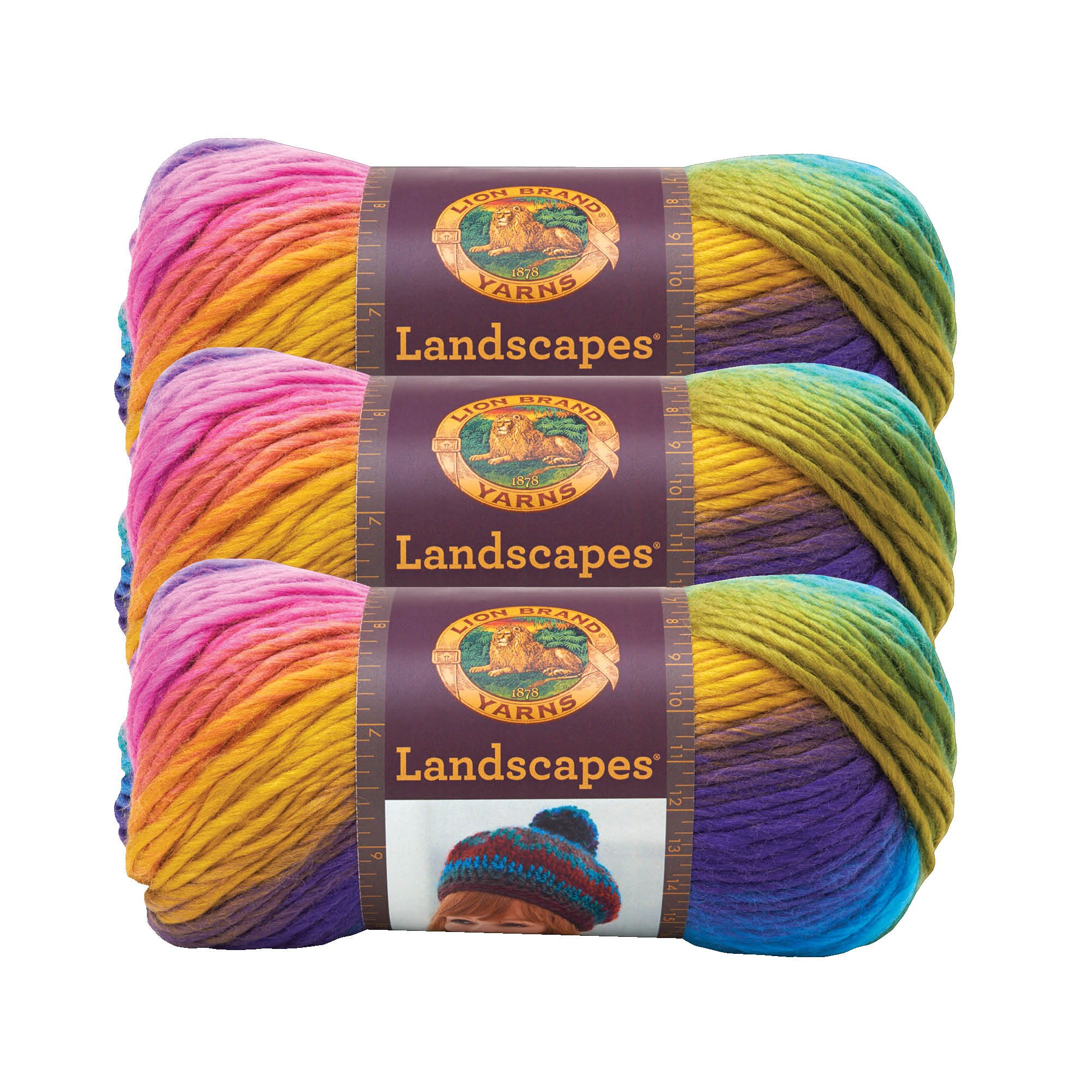 Bulk Buy: Lion Brand Landscapes Yarn (3-Pack) Boardwalk 545-201