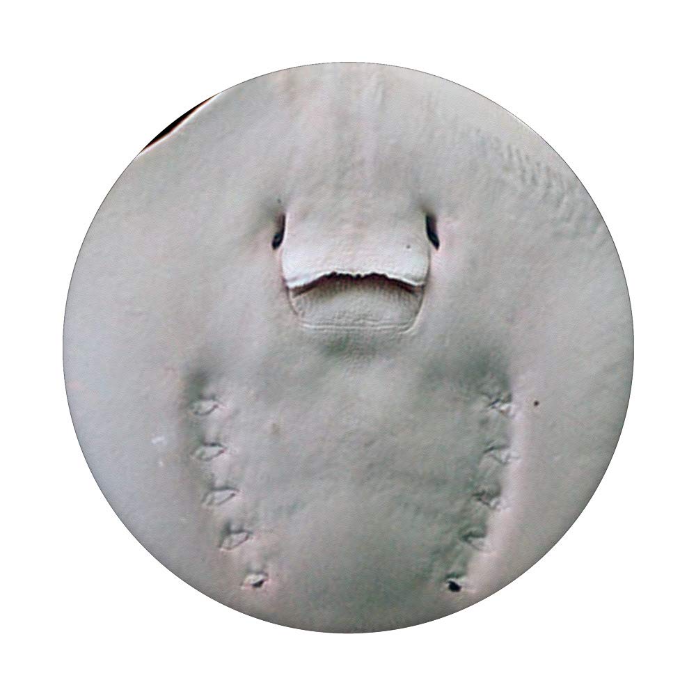 Cute Smiling Stingray PopSockets Swappable PopGrip