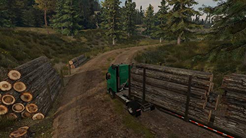 Truck Driver - PlayStation 4 (PS4)