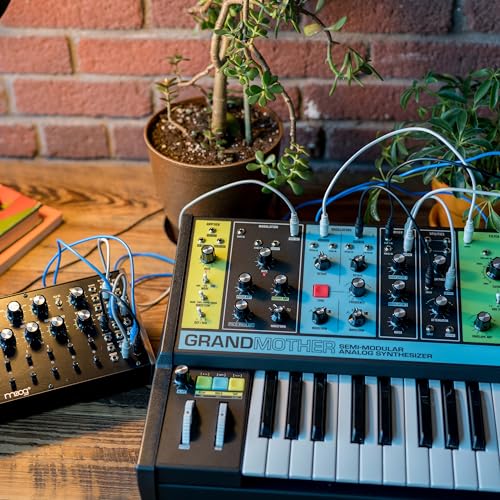 MOOG Grandmother Semi-Modular Analog Keyboard Synthesizer with 32 Keys, Built-In Arpeggiator, Sequencer and Spring Reverb Tank