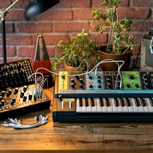 MOOG Grandmother Semi-Modular Analog Keyboard Synthesizer with 32 Keys, Built-In Arpeggiator, Sequencer and Spring Reverb Tank